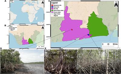 Natural and Anthropogenic Variation of Stand Structure and Aboveground Biomass in Niger Delta Mangrove Forests
